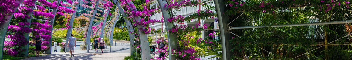 South_Bank_Parklands_Brisbane2_23APR18